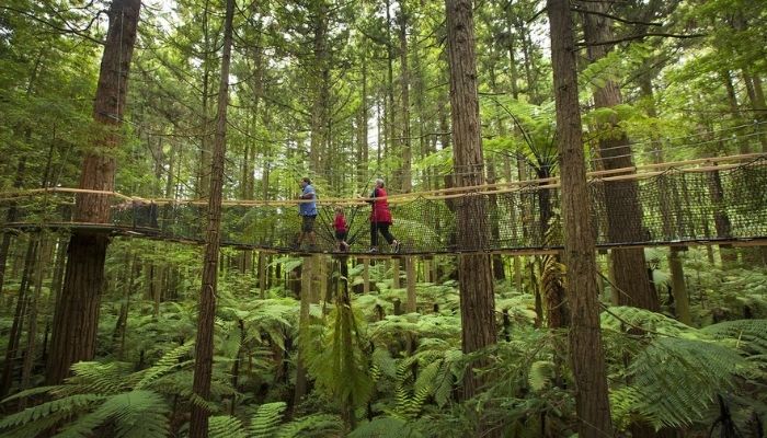 Visitor perceptions research from Australia and New Zealand