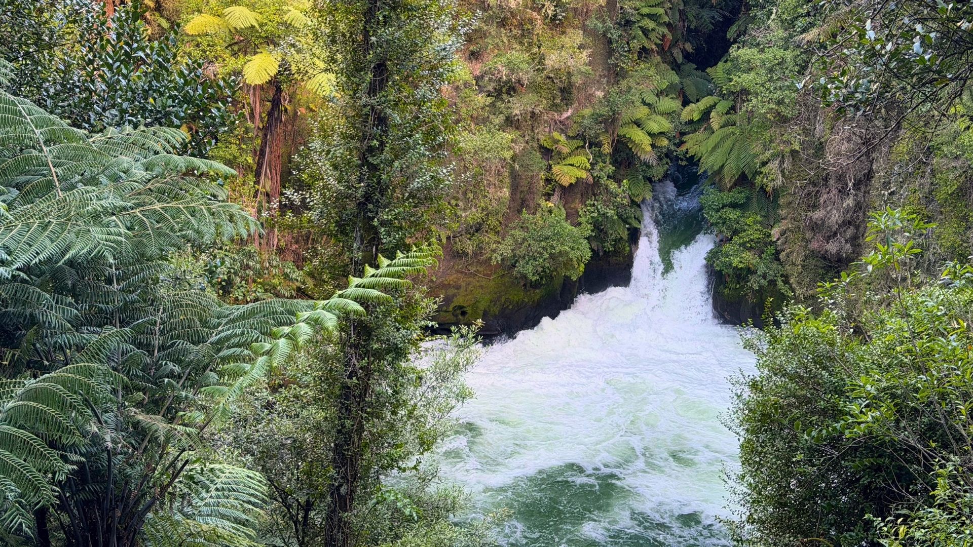 #8 Kaituna River #8 Kaituna River
