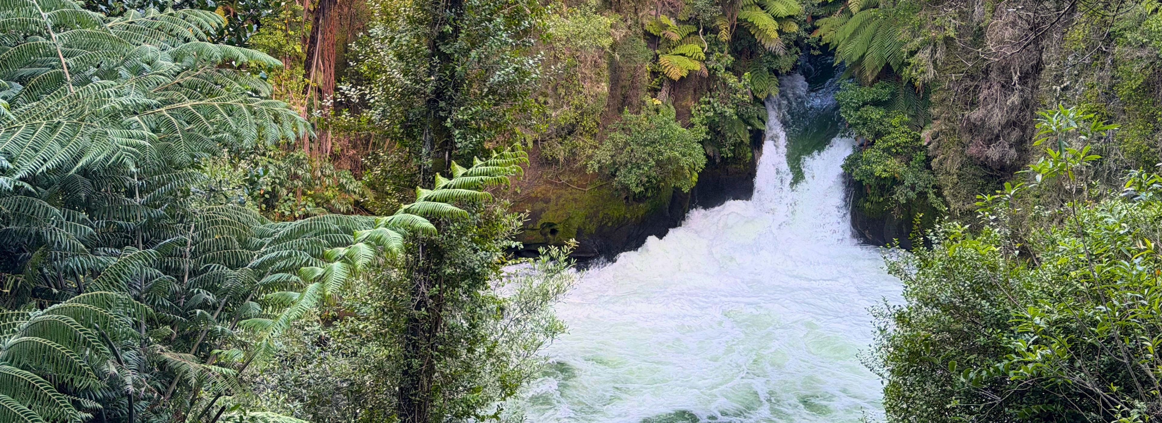 14 free things to do in Rotorua