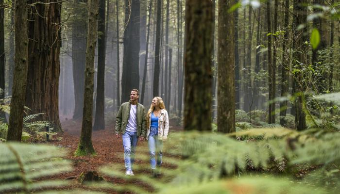 Free things to do in Rotorua