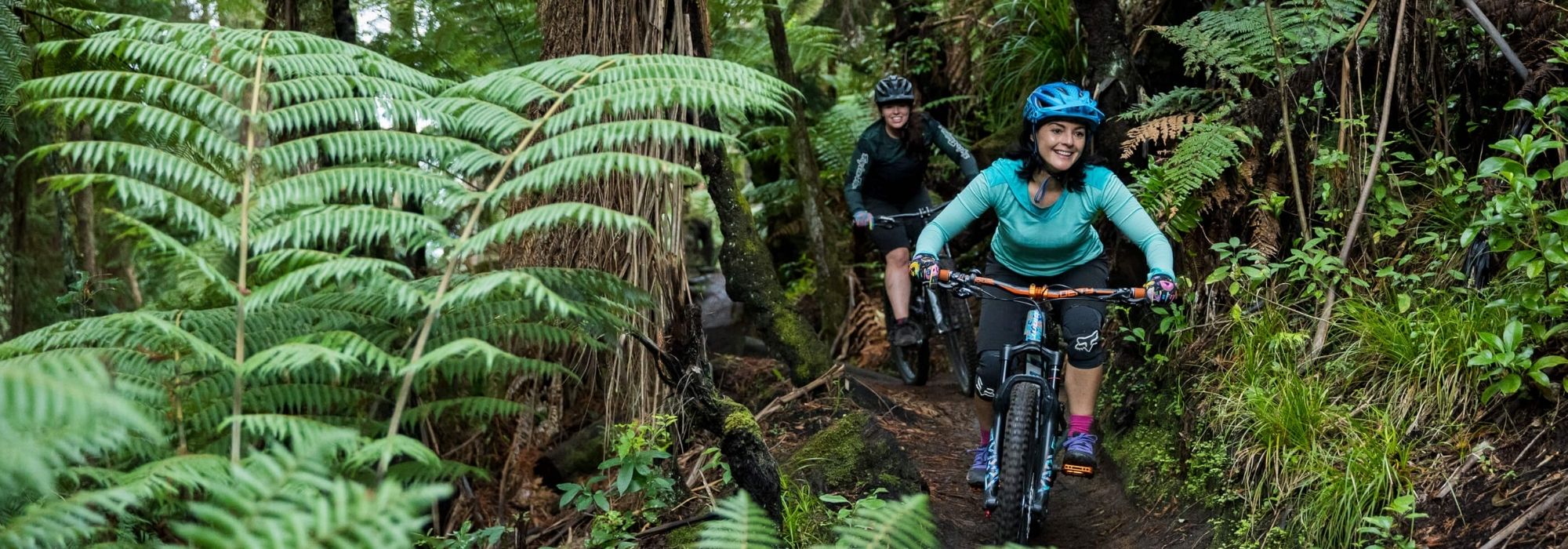 Conference pre & post suggestions 1-3 hours