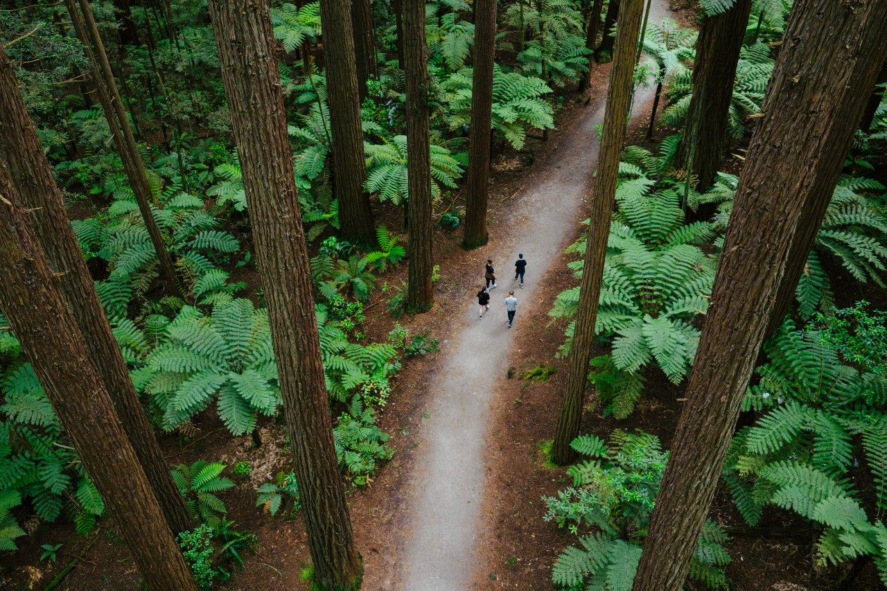 Discover the best things to see, visit and where to stay in Rotorua