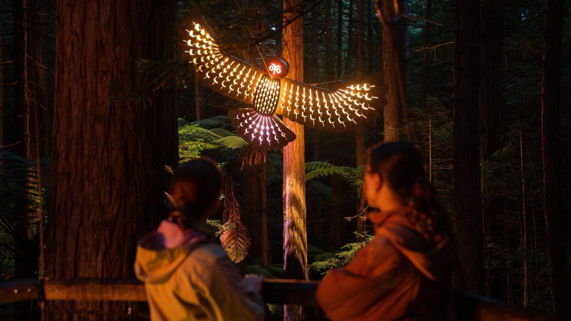 #2 Redwoods Nightlights