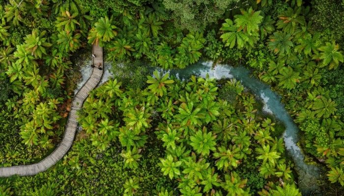 Best walks in Rotorua: Autumn edition