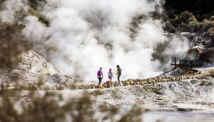 10 beautiful walks to explore in Rotorua
