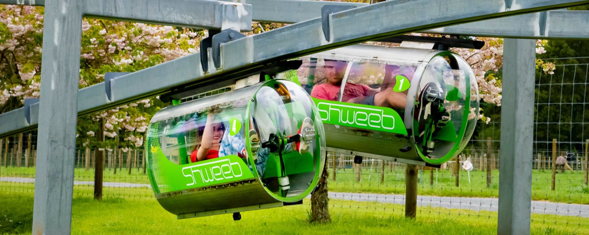 Where to go for a fun-filled family holiday in Rotorua