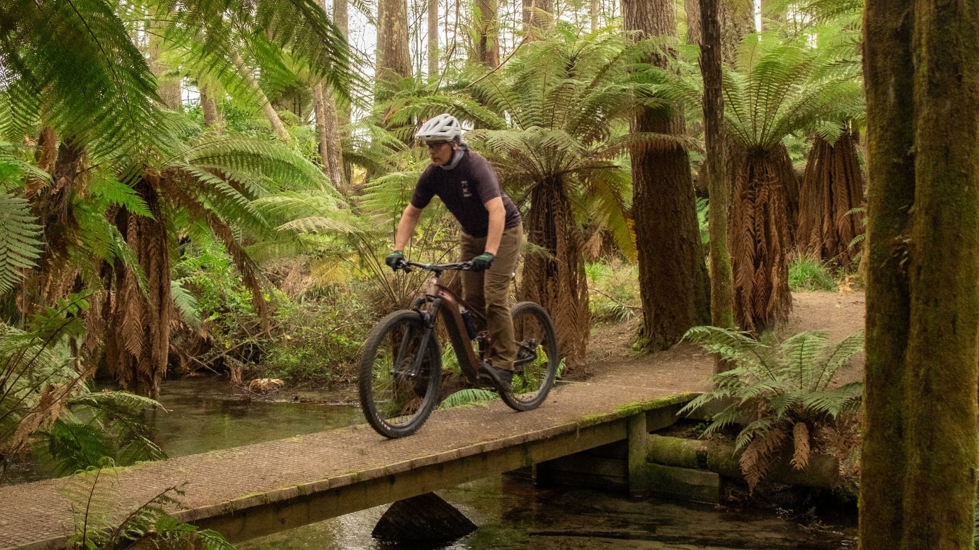Whakarewarewa-Loop_1.jpg