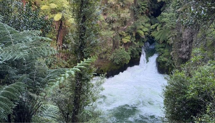 14 free things to do in Rotorua