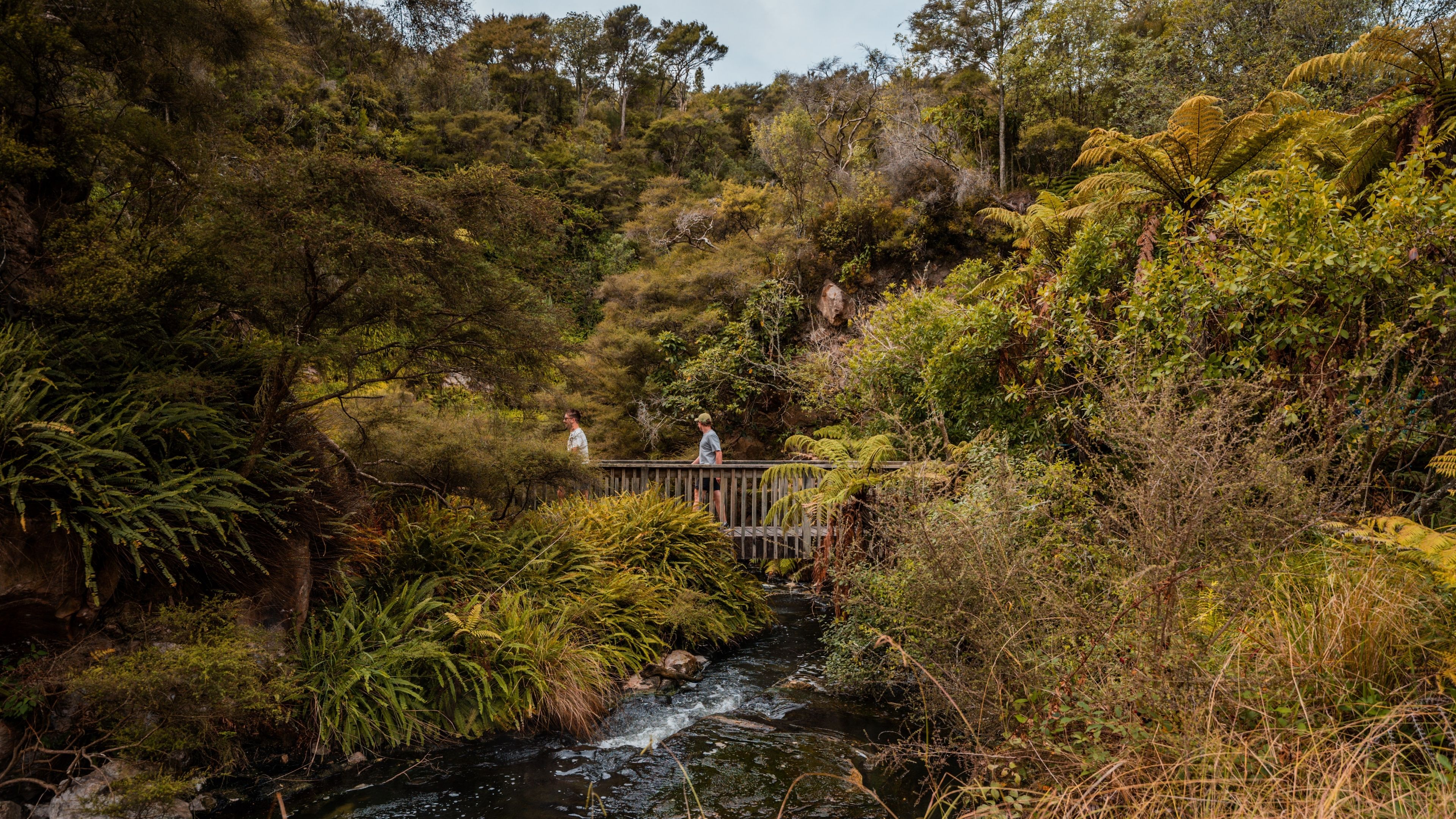 Slow down with scenic summer walks