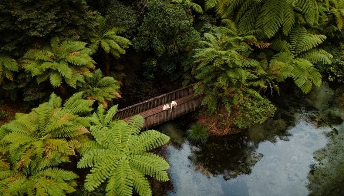 Six hidden gems in Rotorua