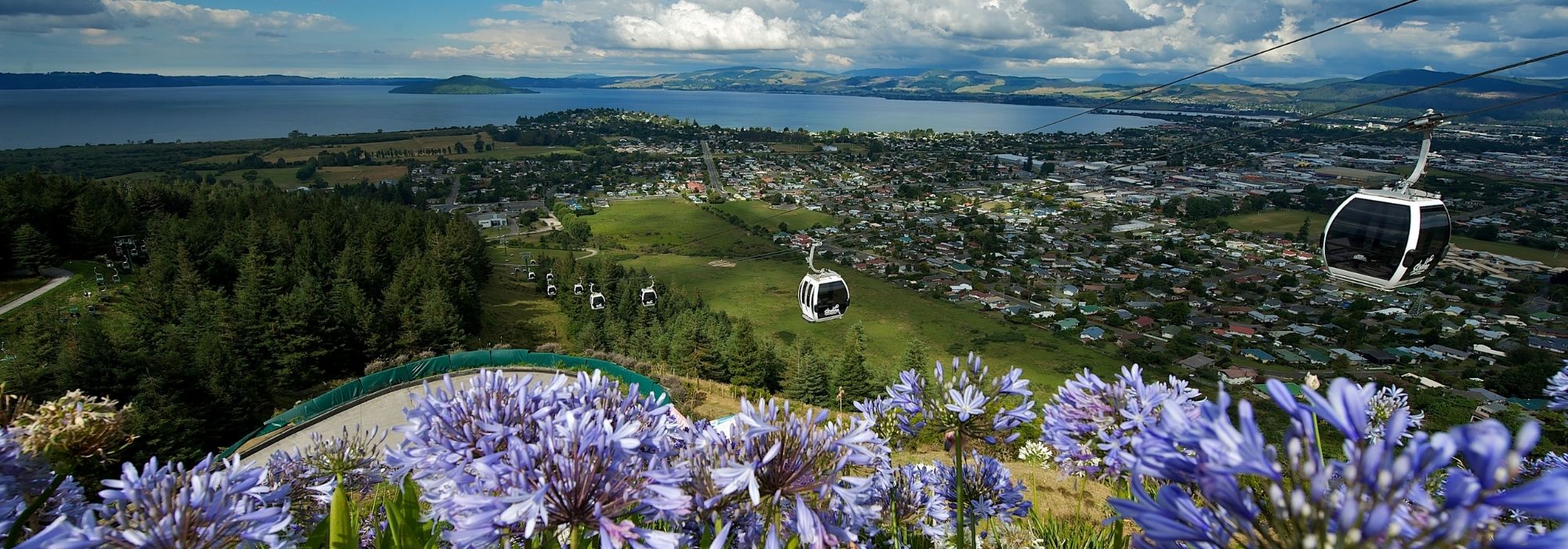 Super fun with your SuperGold card