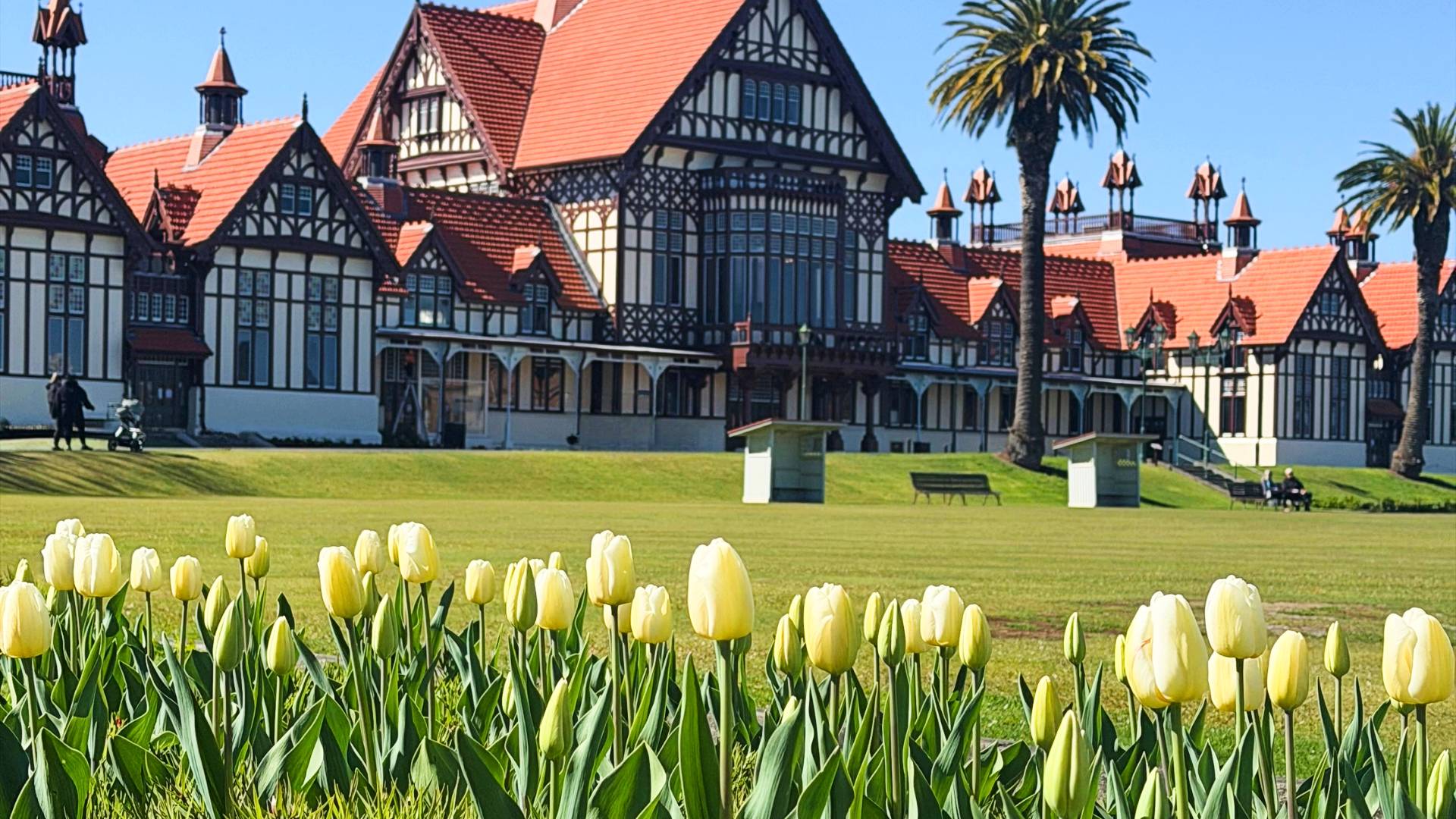 Where to See Rotorua in Bloom This Spring