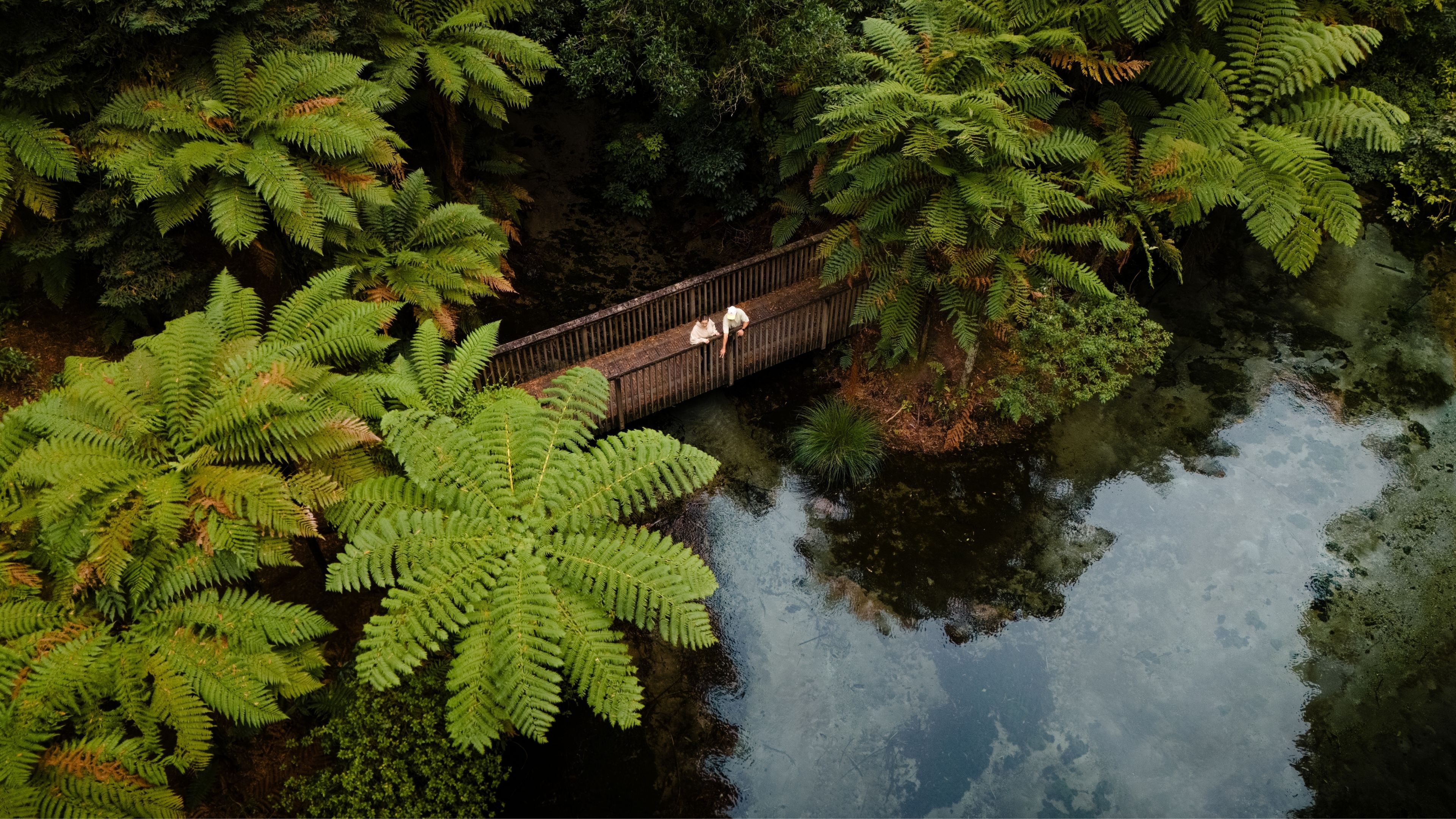 Six hidden gems in Rotorua
