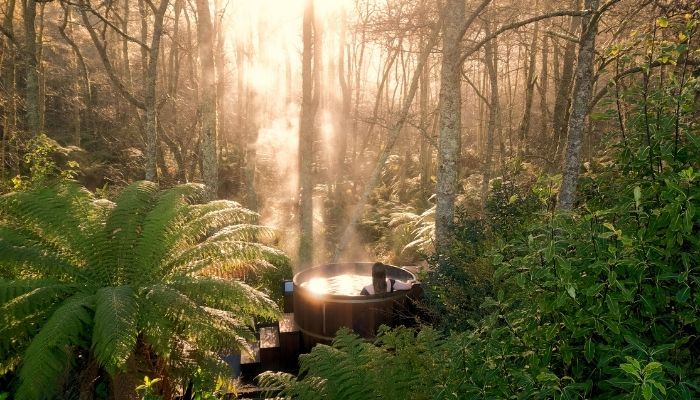 Connect with Papatūānuku and find your zen this autumn