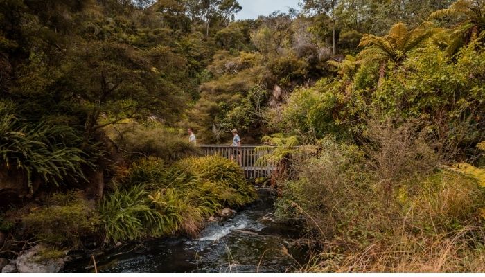 Slow down with scenic summer walks