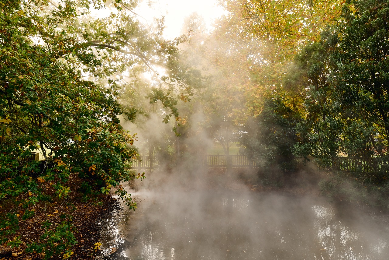 Hidden Gems in Rotorua: Local Secrets and Lesser-Known Places to Explore