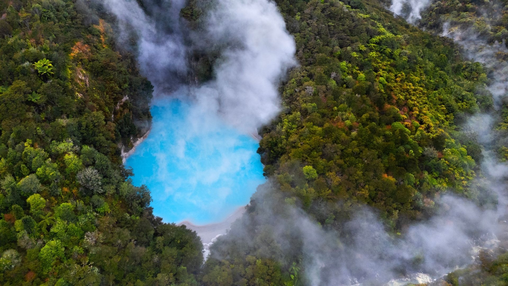 Waimangu Volcanic Valley