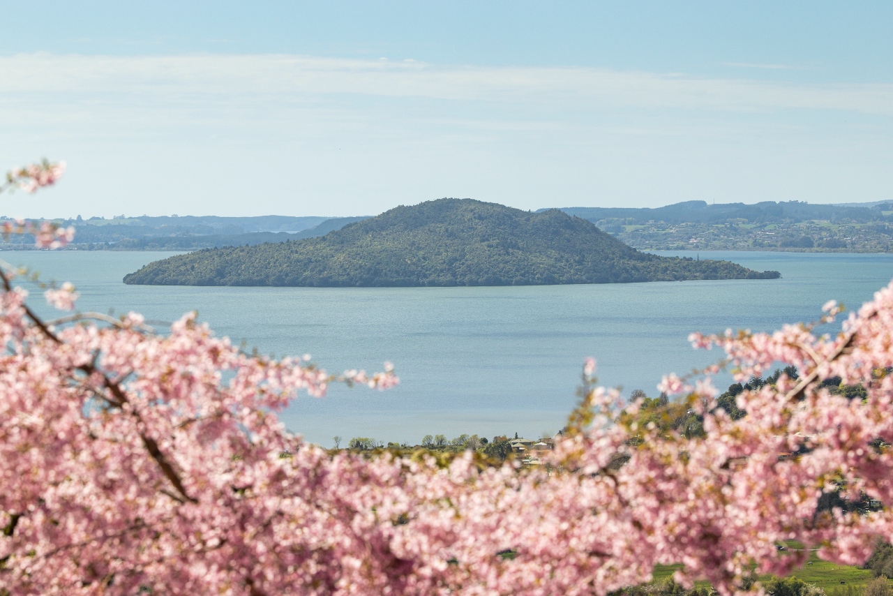 Things to do in Rotorua in spring 