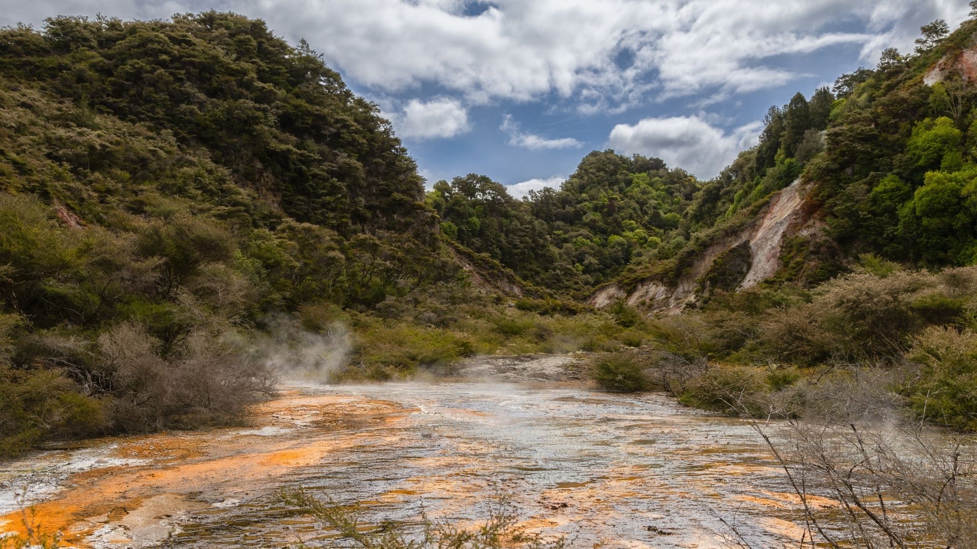 Waimangu-Volcanic-Valley.jpg Waimangu-Volcanic-Valley.jpg