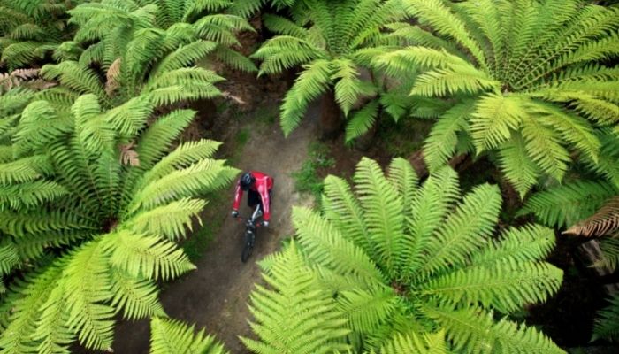 Crankworx Rotorua: There really is a cycle trail for everyone Crankworx Rotorua: There really is a cycle trail for everyone