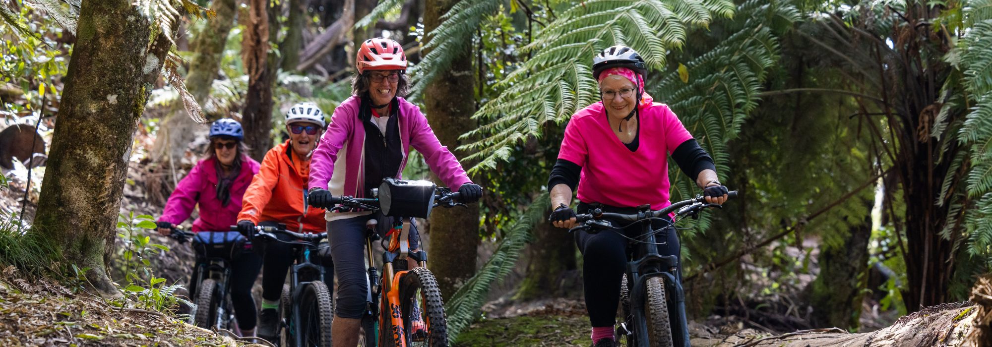 Rolling through winter Rotorua styles