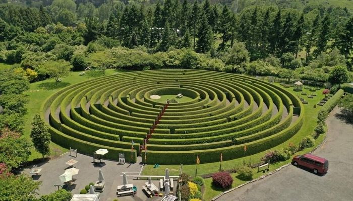 Hidden gems in Rotorua