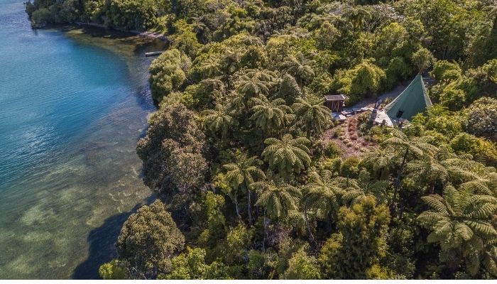 The Best of Camping: Lakeside Edition