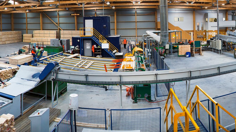 Rotorua to become the new wood capital of New Zealand