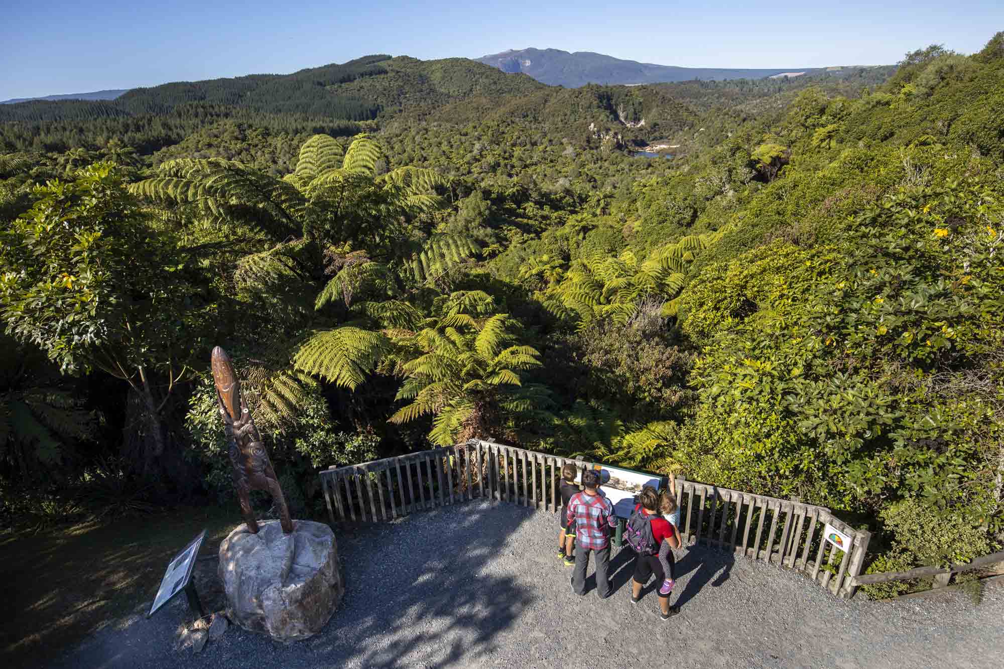 Ten wonderful walks in Rotorua