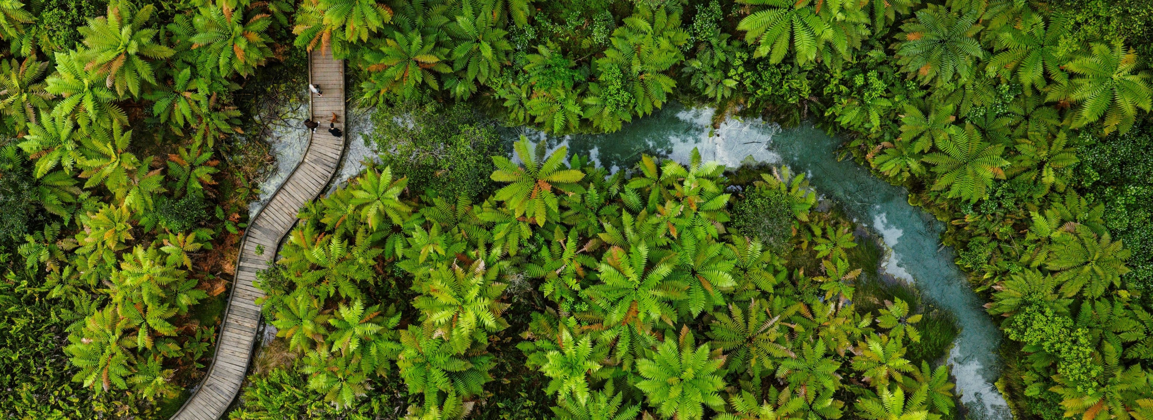 Best walks in Rotorua: Autumn edition