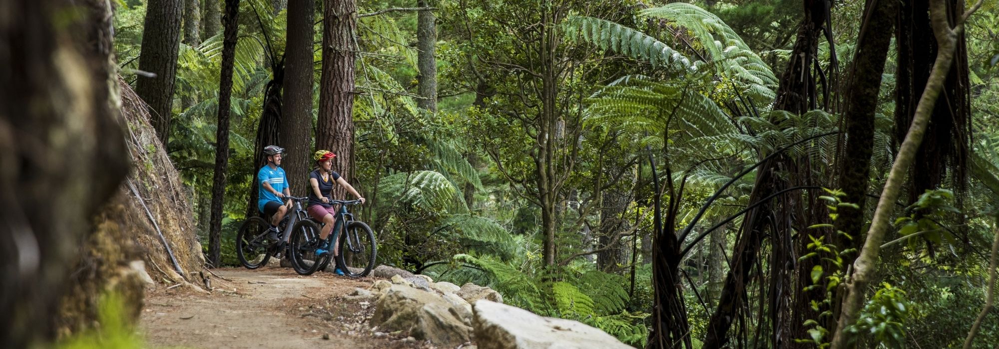 Gear up for a great ride in Rotorua