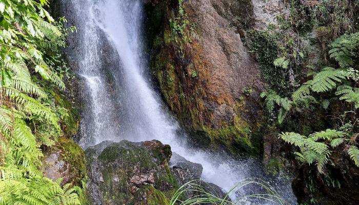 Waterfalls around Rotorua