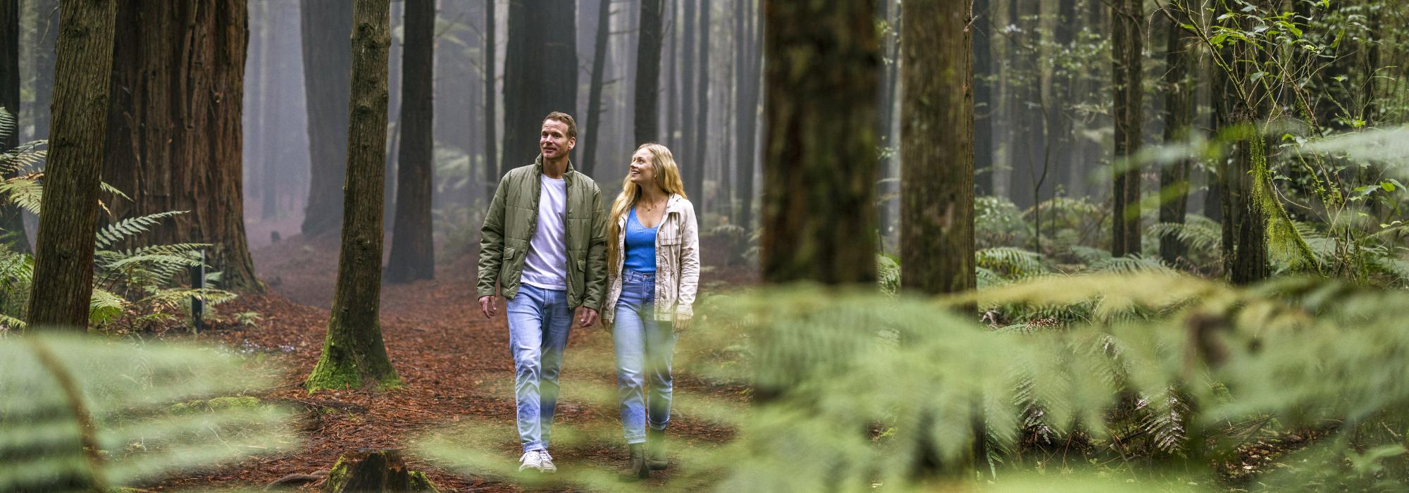 Free things to do in Rotorua