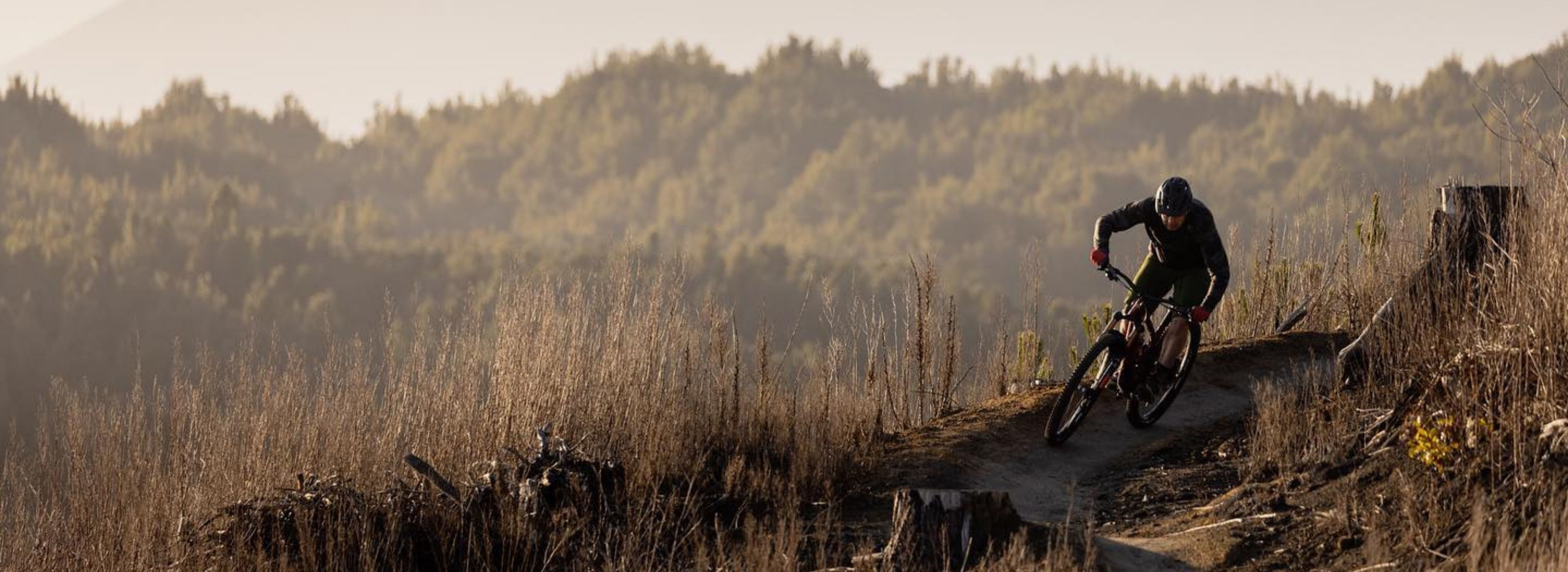 Bike & Bite: Pedal the trails, savour the flavours.