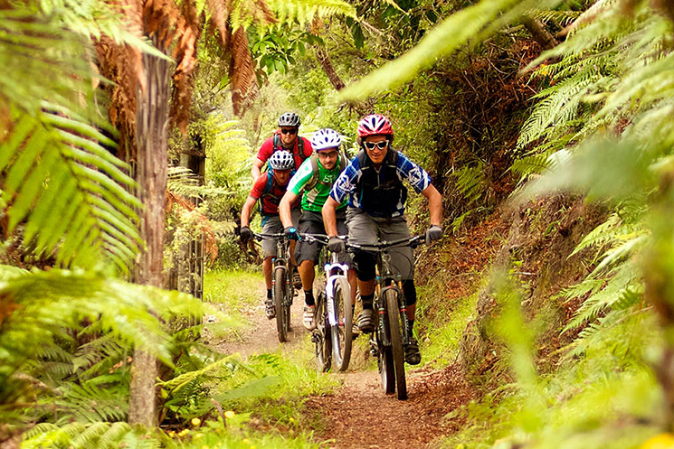 Ten great Rotorua rides