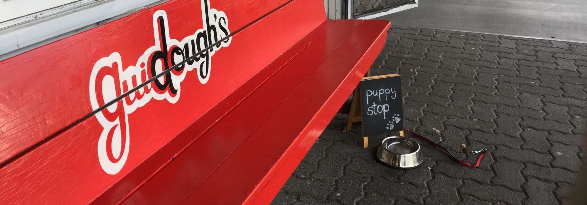 Dogs on tour: Travelling with your best furry friend