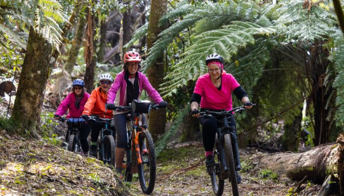 Rolling through winter Rotorua styles