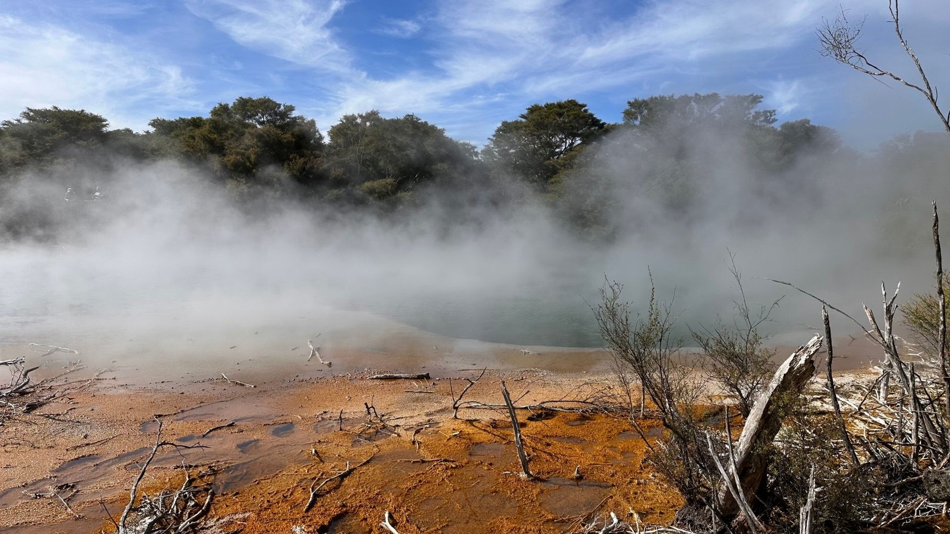 Kuirau-Park.jpg Kuirau-Park.jpg