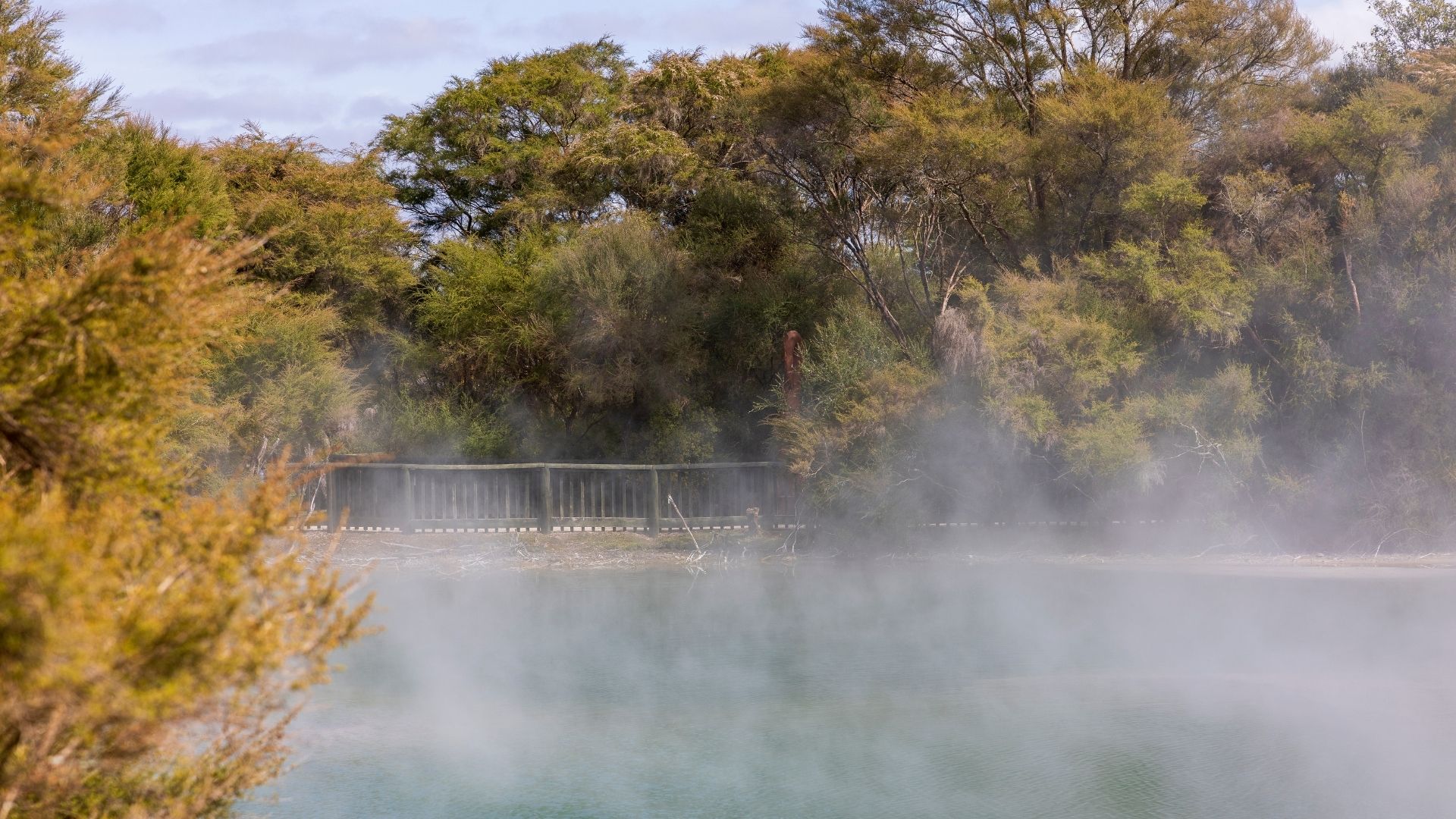 Kuirau-Park.jpg Kuirau-Park.jpg