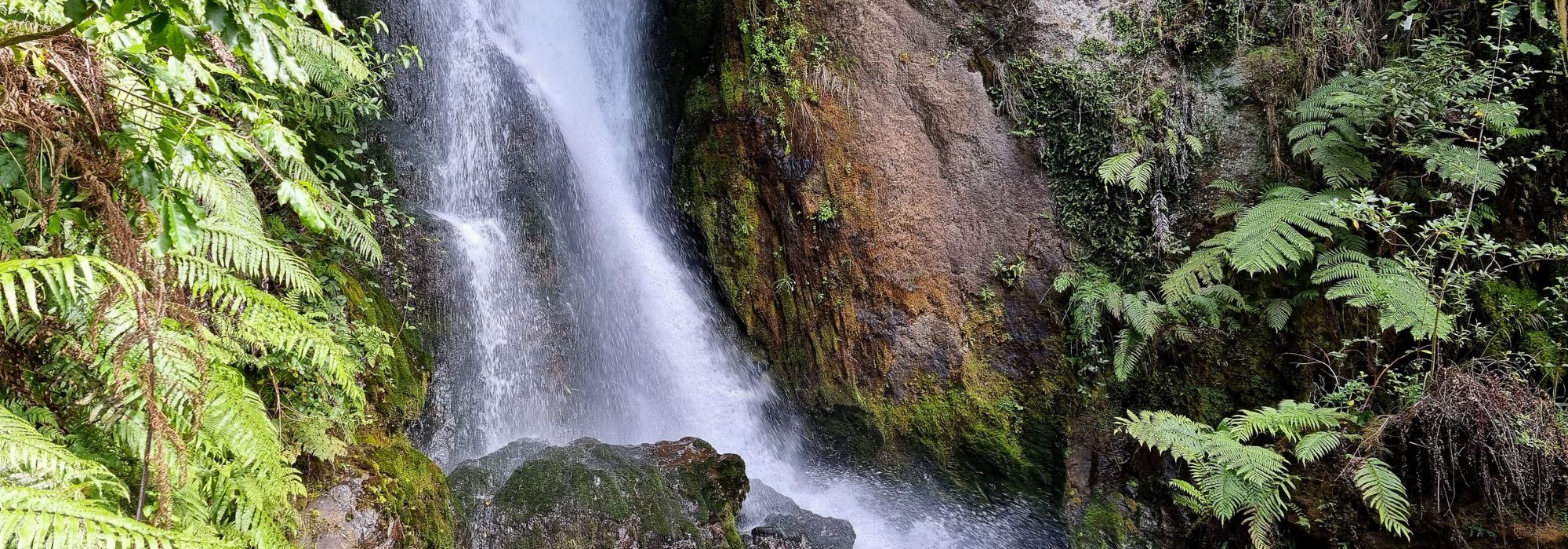 Waterfalls around Rotorua