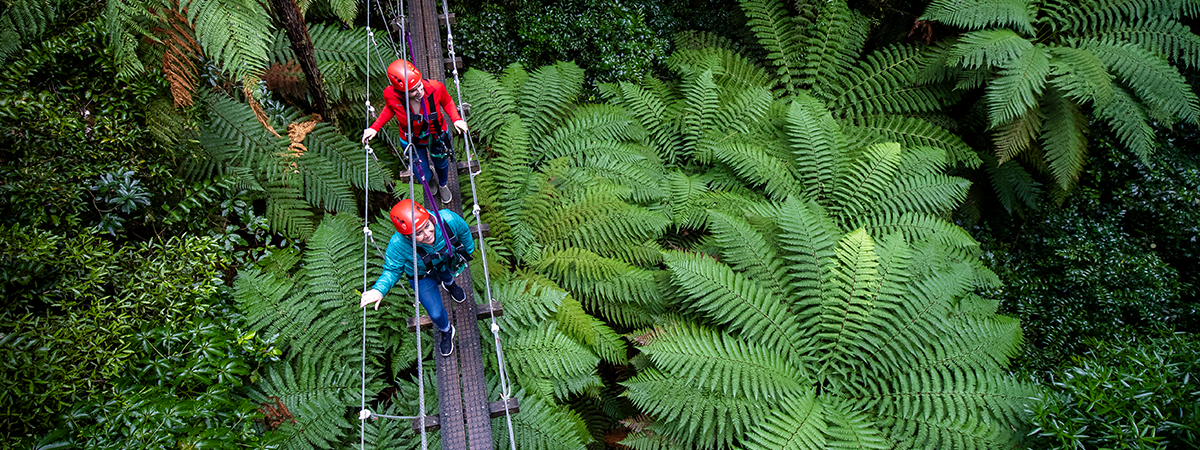 A snapshot of the latest arrival stats A snapshot of the latest arrival stats